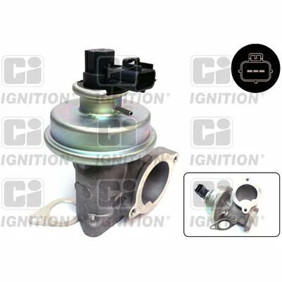 distriauto2-718739