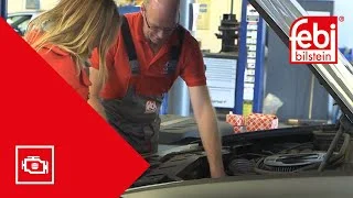 distriauto3-770476
