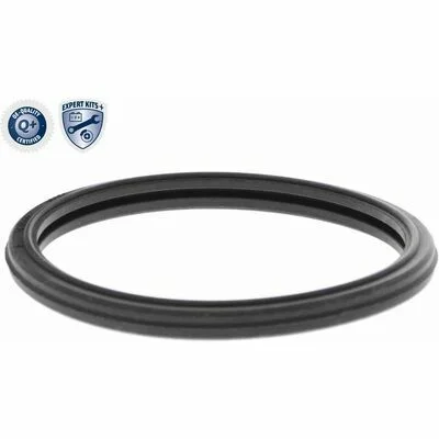 distriauto5-845913