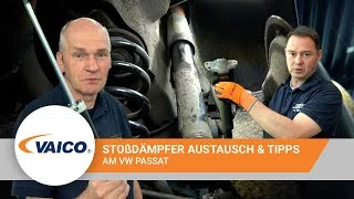distriauto5-852195
