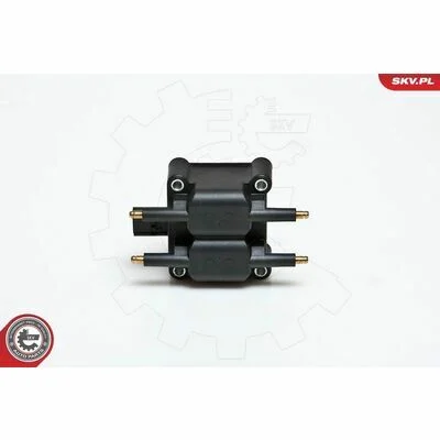 distriauto6-805244