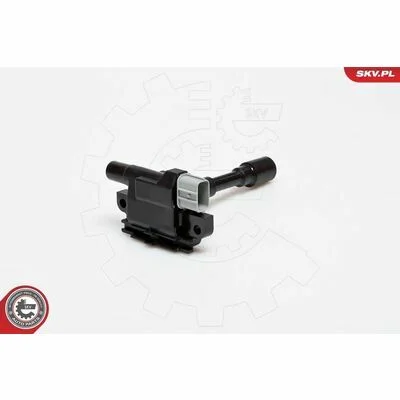 distriauto6-805281