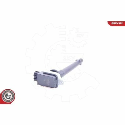 distriauto6-805416