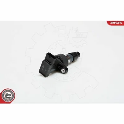 distriauto6-805525