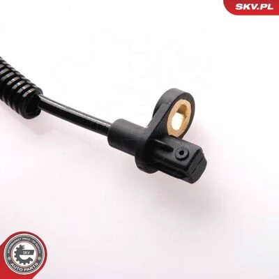 distriauto6-807888