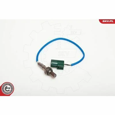 distriauto6-810731