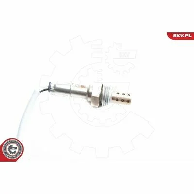 distriauto6-810858