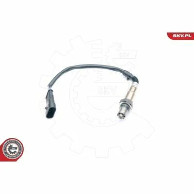 distriauto6-811215