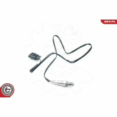 distriauto6-811224