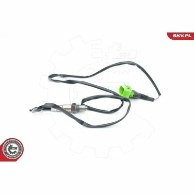 distriauto6-811300