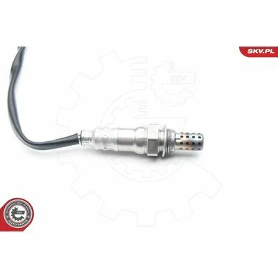 distriauto6-811429