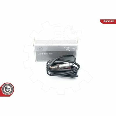 distriauto6-811486