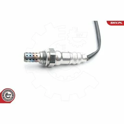 distriauto6-811598