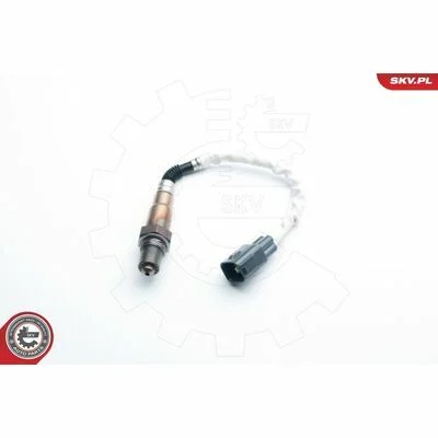 distriauto6-811745