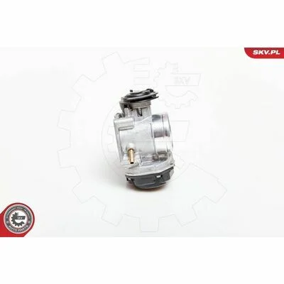 distriauto6-825900
