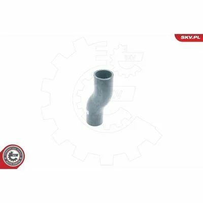 distriauto6-847352