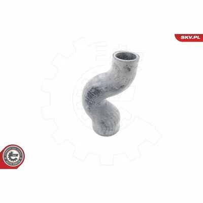 distriauto6-847610