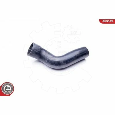 distriauto6-848151