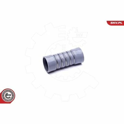 distriauto6-848389