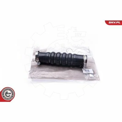 distriauto6-848480