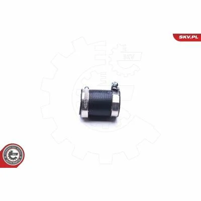 distriauto6-848612
