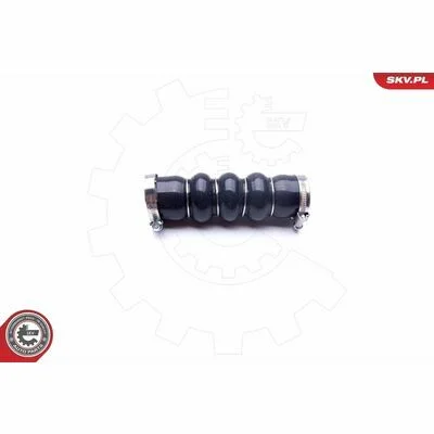 distriauto6-848652