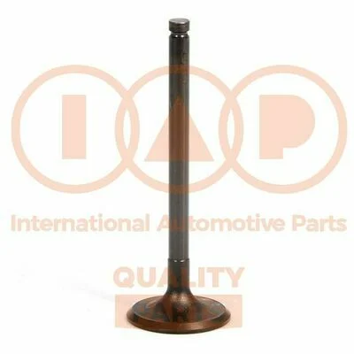 distriauto6-896773