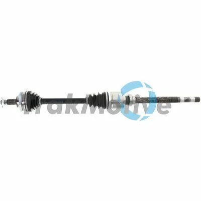 distriauto7-819519