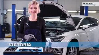 distriauto7-874612